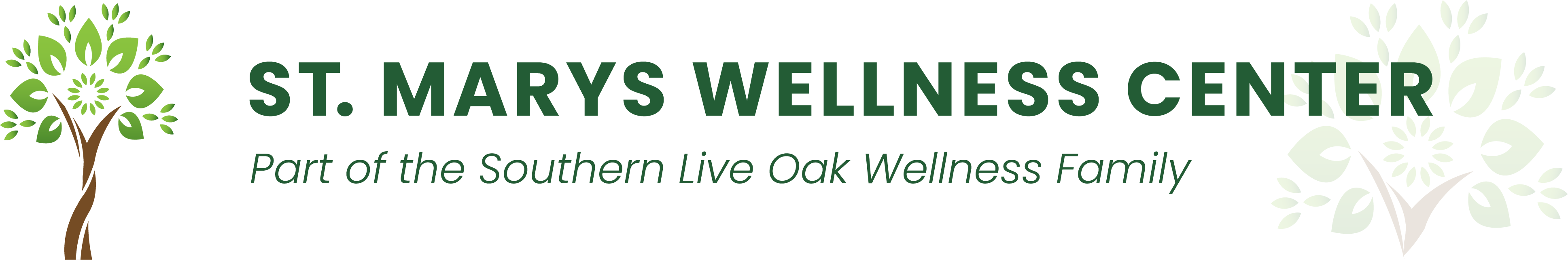 St. Marys Wellness Center